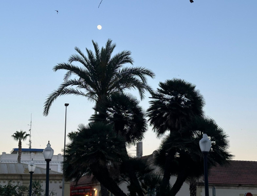 Amor al atardecer – Relato